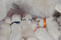 drei Jungs & 2 M&auml;dchen 